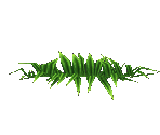 Lowcut Grass - Star Fox Adventures