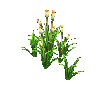 Horsetail - Star Fox Adventures