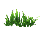 Grass - Star Fox Adventures