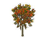 Autumn Tree - Star Fox Adventures
