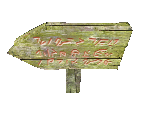 Wooden Arrow Sign - Star Fox Adventures