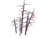 Moon Mountain Pass Willows - Star Fox Adventures
