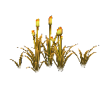 Snow Horsetail - Star Fox Adventures