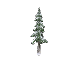 Snow Pine - Star Fox Adventures