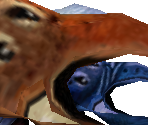 Beetle - Metroid Prime