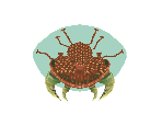 Metroid - Metroid Prime