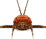 Burrower - Metroid Prime