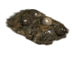 Brahminegg Pile - Fallout: New Vegas