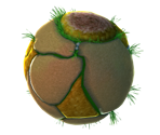 Good Egg Dino Piranha Planet - Super Mario Galaxy