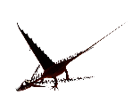 Changewing - DreamWorks Dragons: Wild Skies