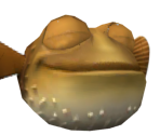 Bloat - Dory's Reef