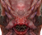 Infected Mox - Richard Garriott's Tabula Rasa
