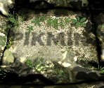 Title Screen - Pikmin