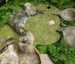 The Impact Site - Pikmin