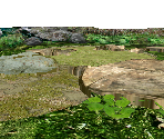 route - Pikmin