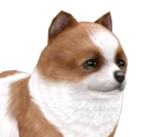 Pomeranian - Nintendogs + Cats
