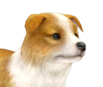 Shetland Sheepdog - Nintendogs + Cats