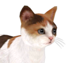 Standard Cat - Nintendogs + Cats