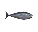 Tuna - BioShock 2