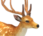 Deer - Zangeki no Reginleiv