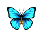 Emperor Butterfly - Animal Crossing: Pocket Camp