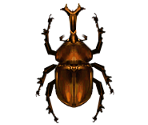 Horned Dynastid - Animal Crossing: Pocket Camp
