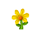 Flower Carving - Viva Piñata