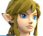 Link (Breath of the Wild) - Mario Kart 8 Deluxe