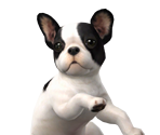 Nintendog - Super Smash Bros. for Nintendo 3DS