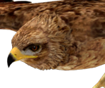 Frey & Freyja' Birds - Zangeki no Reginleiv