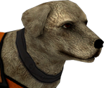 Dog - Tekken 7