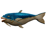 Catfish - Rapala: We Fish