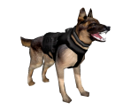 German Shepherd Guide - Avatar Marketplace