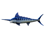Swordfish - Rapala: We Fish