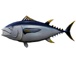 Tuna - Rapala: We Fish