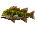 Largemouth Bass - Rapala: We Fish