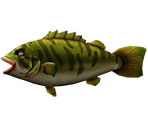 Smallmouth Bass - Rapala: We Fish
