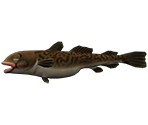 Cod - Rapala: We Fish