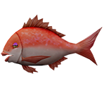 Seabream - Rapala: We Fish