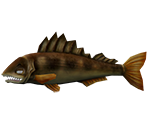 Walleye - Rapala: We Fish