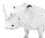 Jumanji Rhino - Roblox