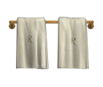 Towel Rack - BioShock 2
