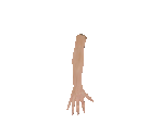 Right Arm - Metroid Prime