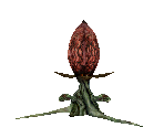 Bloodflower - Metroid Prime