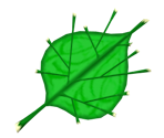 Deku Leaf - The Legend of Zelda: The Wind Waker