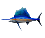 Sailfish - Rapala: We Fish