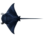 Devilfish - Rapala: We Fish