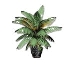 Tree Palm - BioShock: Infinite