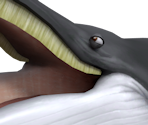 Whale - Super Monkey Ball 2