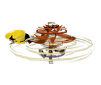 Crash (Spinning) - Crash Twinsanity
